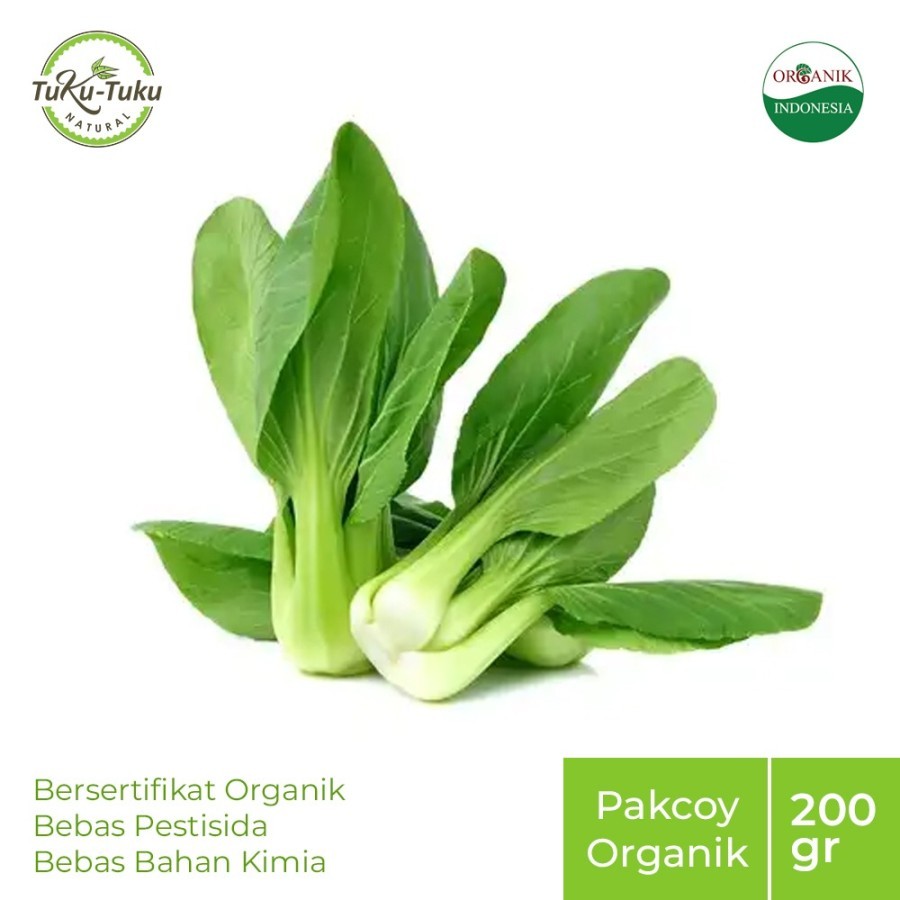 

PAK CHOY HIJAU ORGANIK BSP FARM 200GR