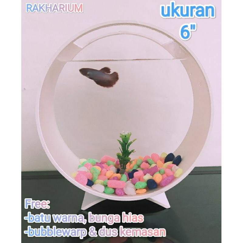 AQUARIUM MINI 6"/AQUARIUM IKAN CUPANG/AQUARIUM PVC 6"/AQUARIUM AKRILIK PVC/AQUARIUM MINIMALIS