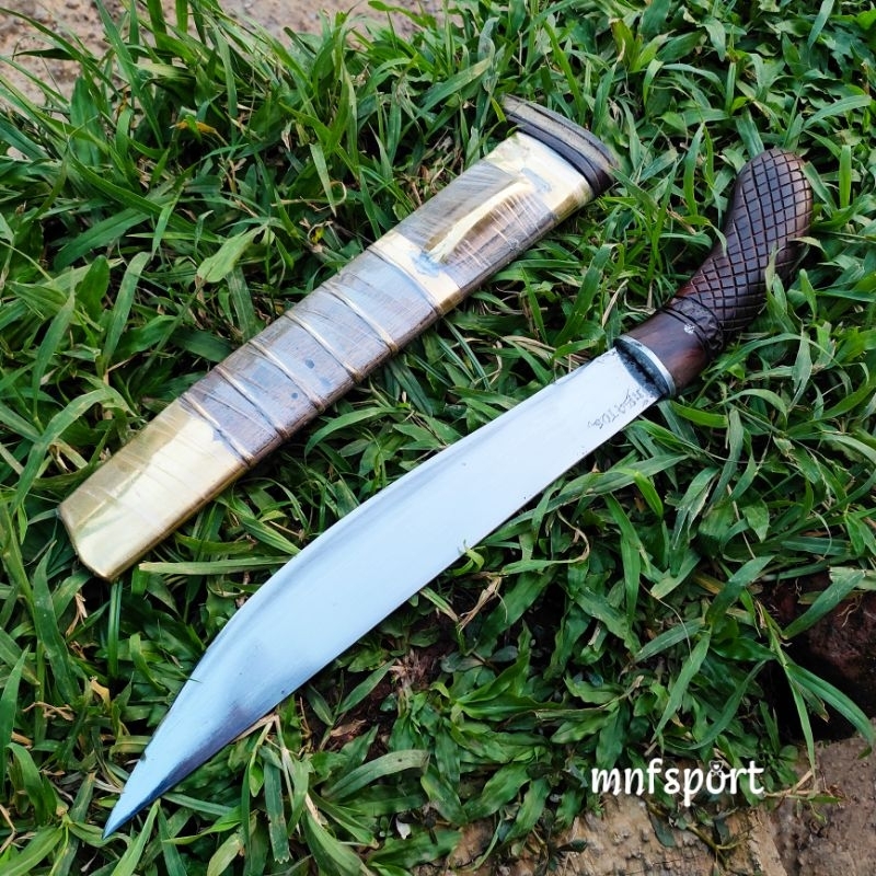 mnfsport/golsem baja