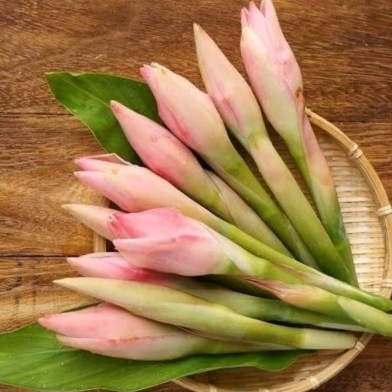 

BUAH KECOMBRANG PER 5 PCS