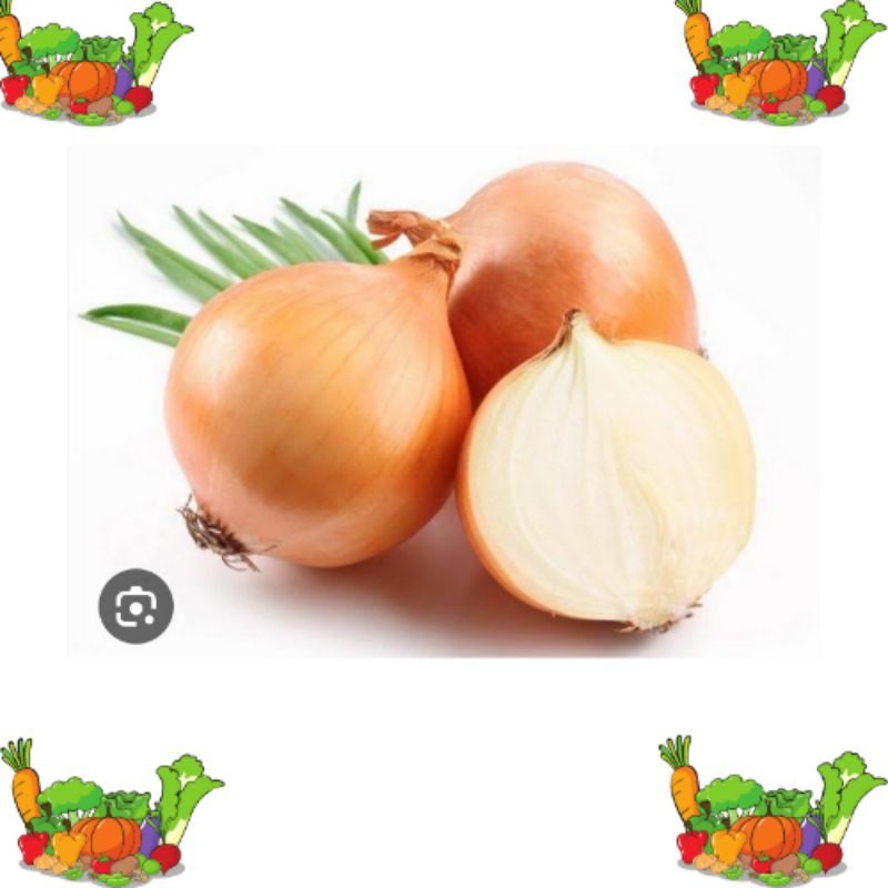 

bawang bombai 500 gram