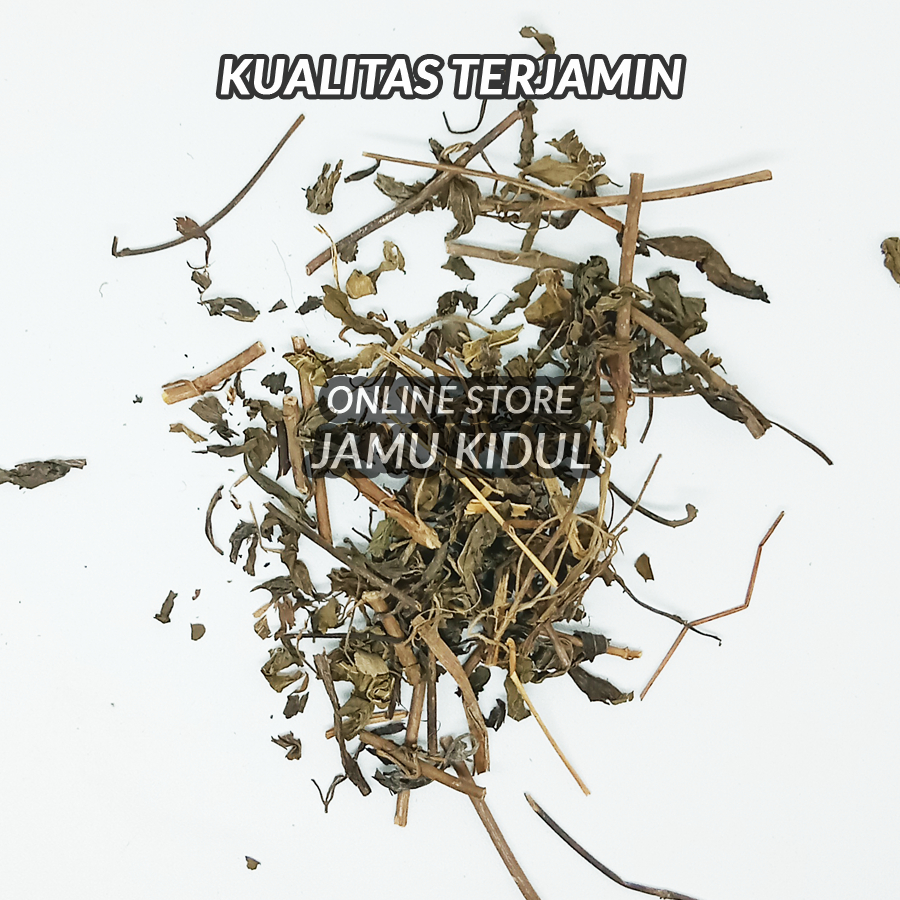 

Herbal Kumis Kucing Kering 100gr Asli