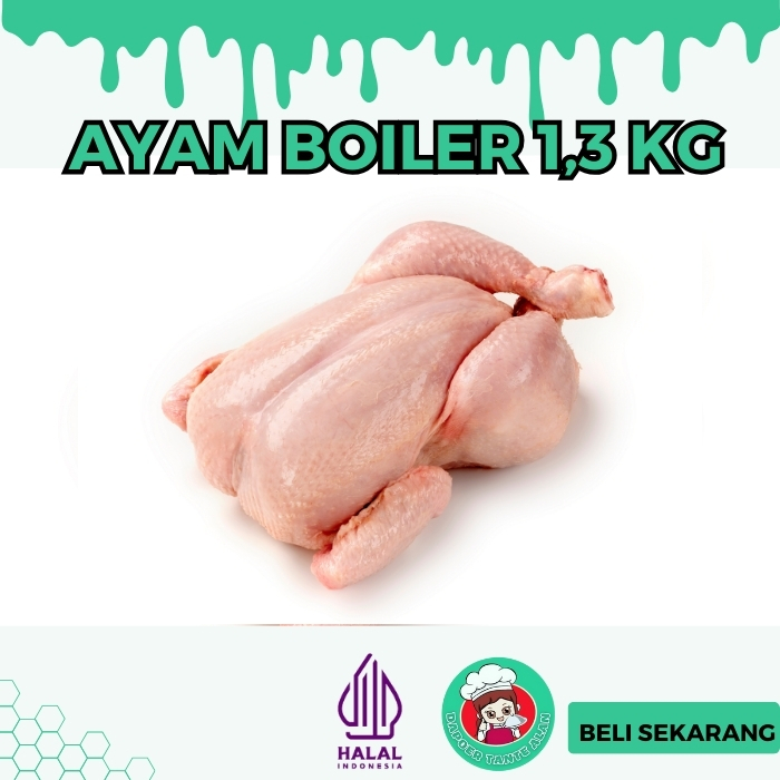 

AYAM BOILER UKURAN 1.3 KG HALAL