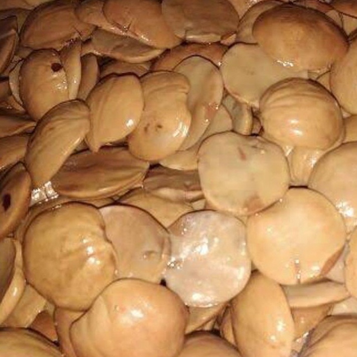 

55 COD Jengkol Rebus 25gram 5gram