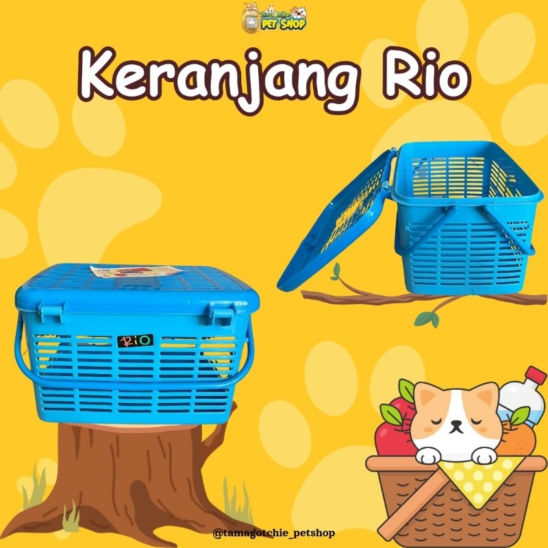 Keranjang Rio Kucing