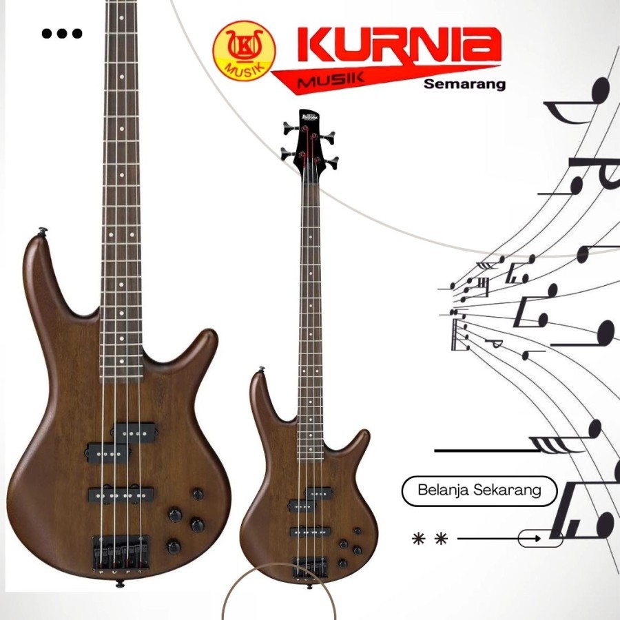 IBANEZ GSR200B- WNF / GSR200 B / GSR 200 B Bass Elektrik