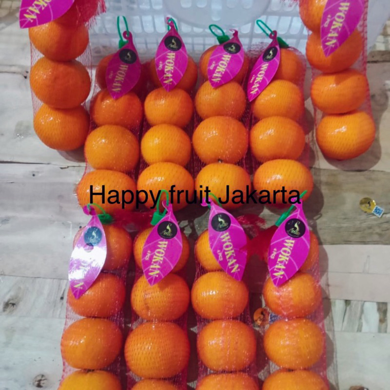 

Jeruk wokam import manis | Buah jeruk wokam mandarin jaring 4s