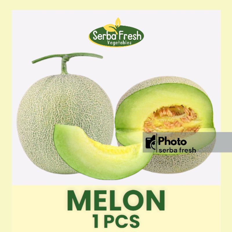 

MELON | 1 PCS | SERBA FRESH