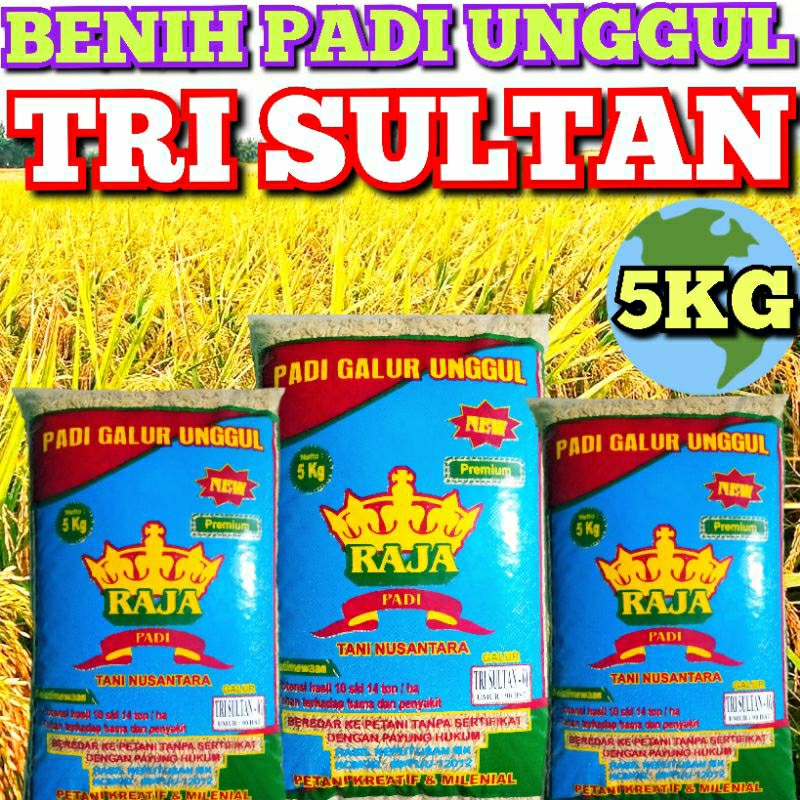 BENIH PADI TRI SULTAN BIBIT PADI TRISULTAN KUALITAS KEMASAN 5KG ORI