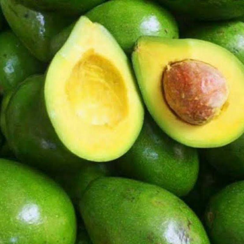 

Alpukat Mentega 1kg Segar Good Quality
