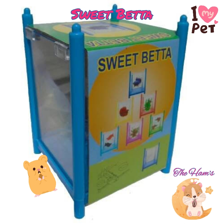 (The Ham's) Sweet Betta Akuarium Kecil / Aquarium Cupang / Akuarium Ikan Hias Cupang / Ikan Cupang