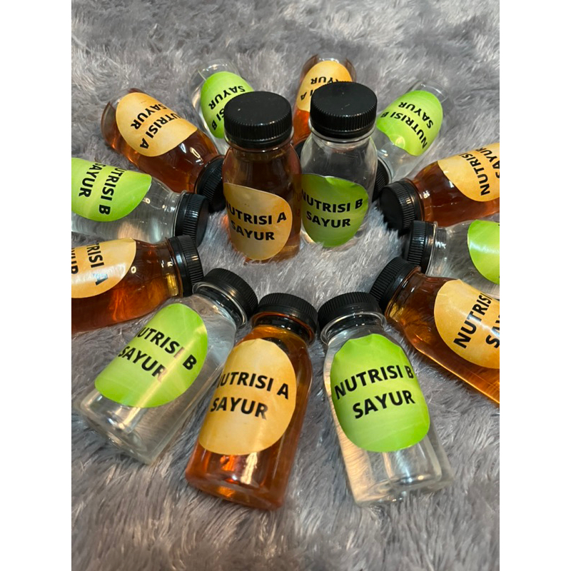 NUTRISI AB MIX HIDROPONIK SAYURAN DAUN