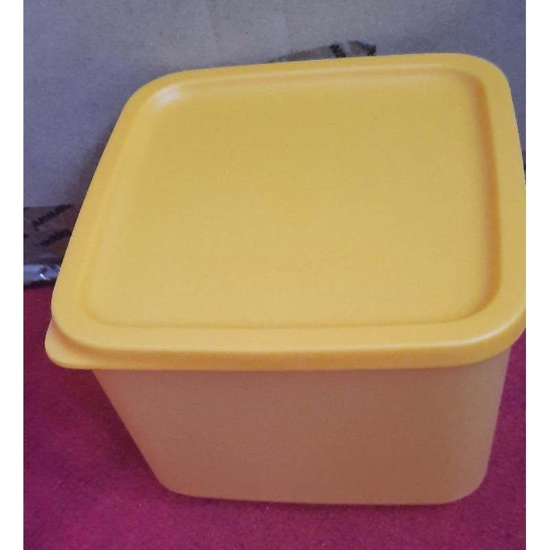 Medium Square Round Tupperware