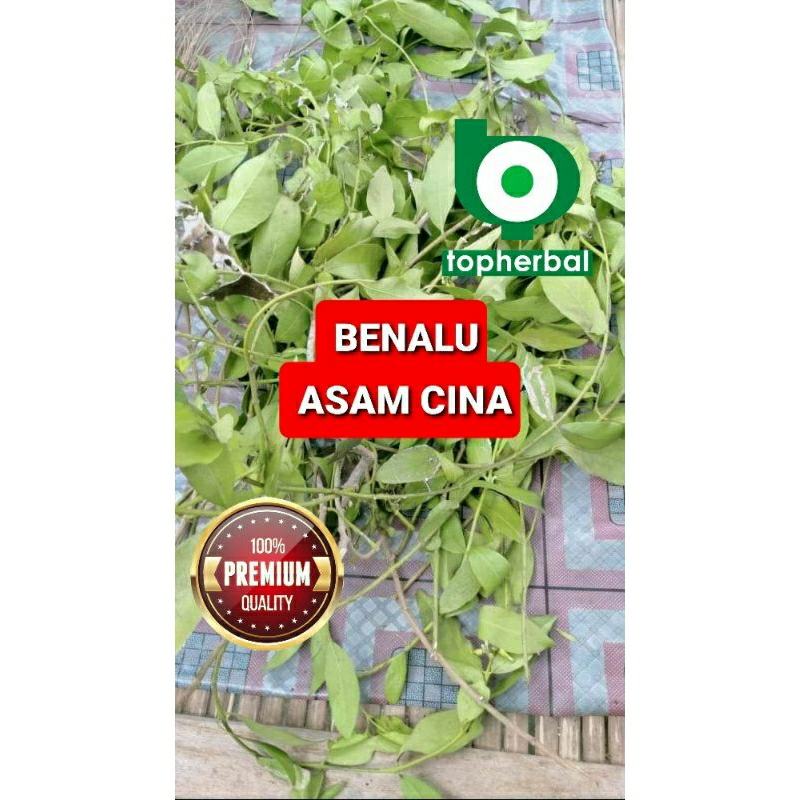 

Benalu Asam Cina Kering 500 Gram