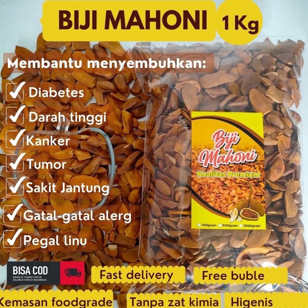 

TERBARU biji mahoni 1kg