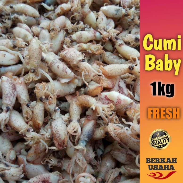 

PROMO ALE BABY CUMI ASIN REBUS FRESH size 12cm23cm34cm Per 1kg IKAN ASIN MURAH GROSIR SOTONG KECIL BEBI CUMI ASIN KECIL