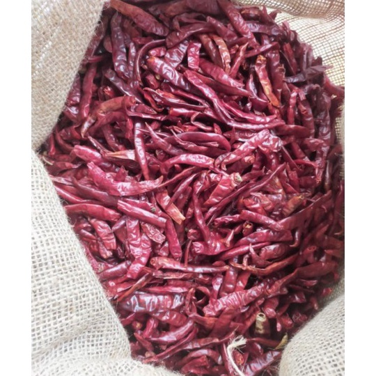 

V44859 Cabe TEJA Merah Kering 1kilogram Dijamin Pedas Dan Fresh
