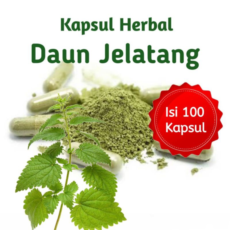 

Kapsul Daun Jelatang Isi 100 Pcs Herbal Alami