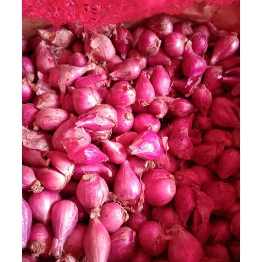 

Terlaku BAWANG MERAH SUPER PILIHAN PER KG