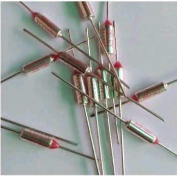 Thermofuse Thermo Fuse Magicom/Setrika 250V 10a