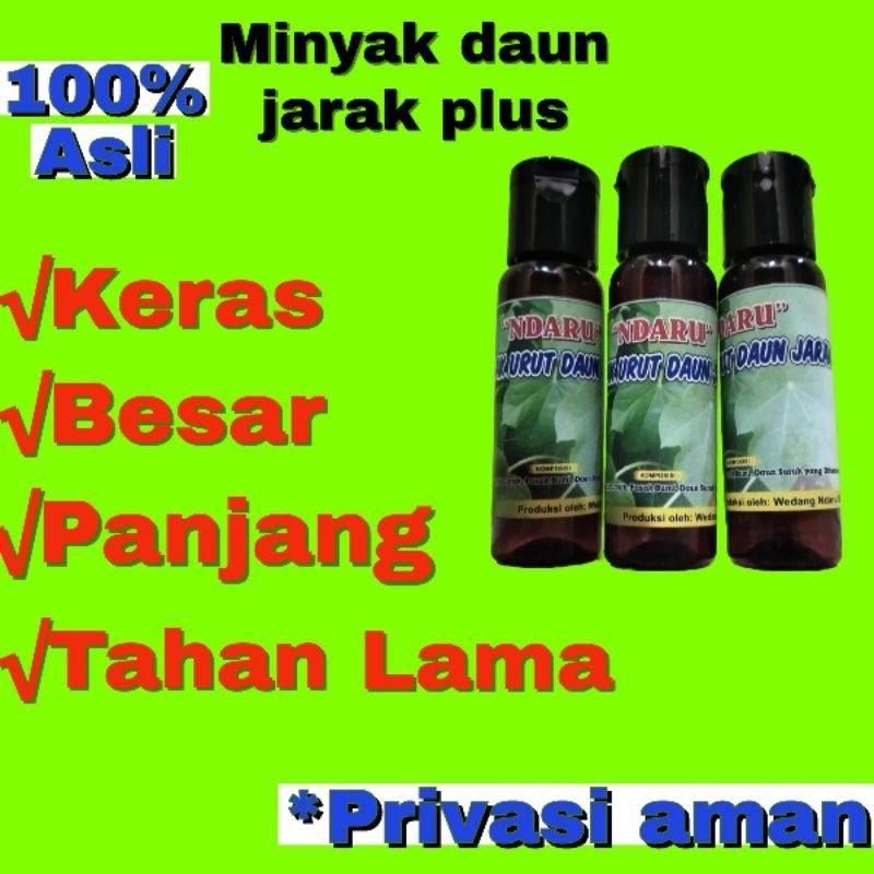 MINYAK DAUN JARAK PEMBESAR ALAT VITAL PRIA