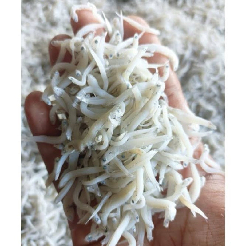 

Ikan Asin Teri Medan