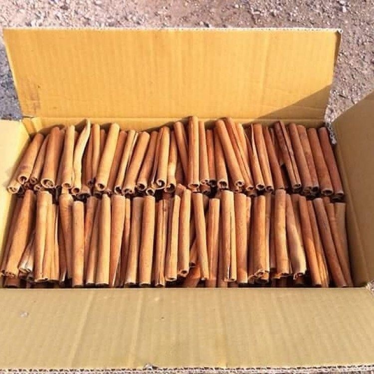 

Kayu manis Asli Cinnamon Roll 100gr Bumbu Dapur Penyedap Rasa