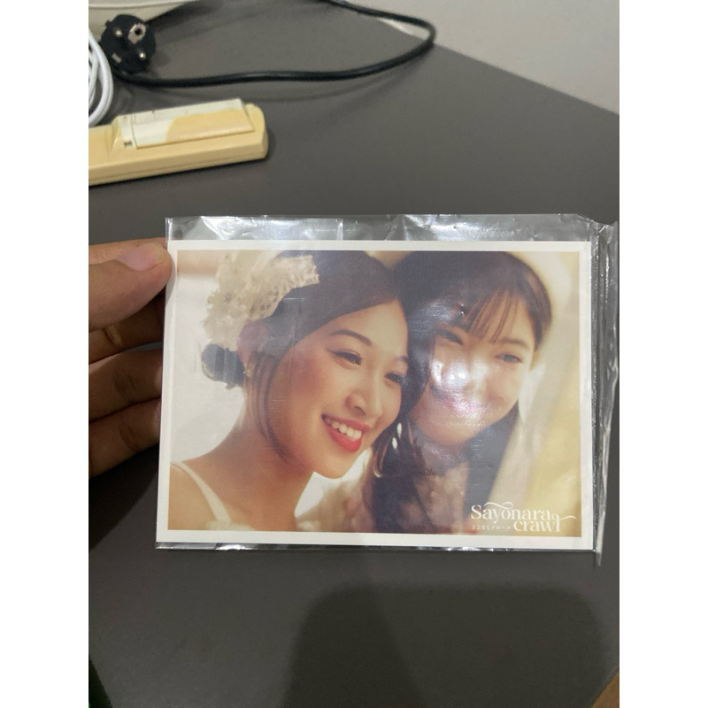 Postcard Sayonara Crawl Shani Fiony