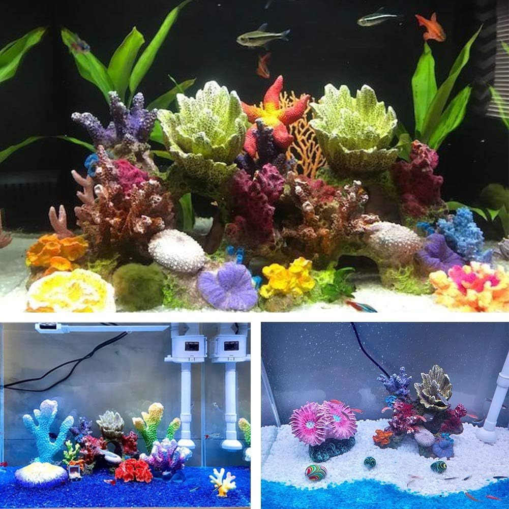 Dekorasi aquarium karang montipora, hiasan aquarium karang montipora, ornamen aquarium karang, dekor