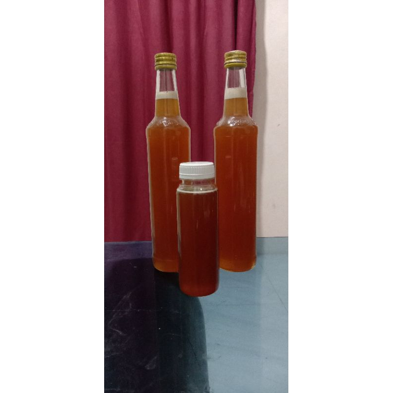 

madu lebah trigona itama