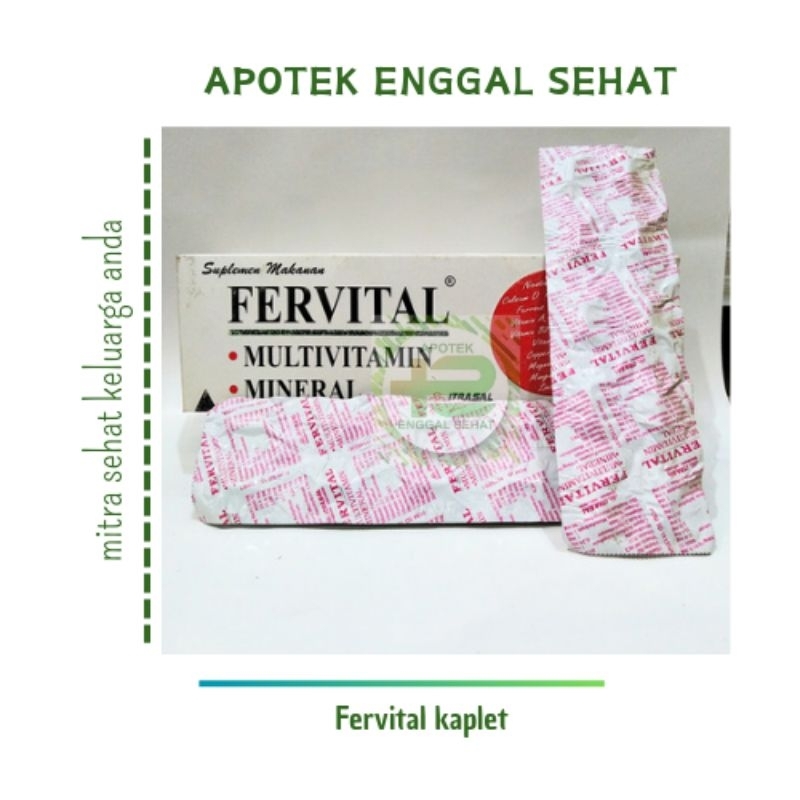 Fervital kaplet suplementasi vitamin dan mineral terutama keadaan anemia