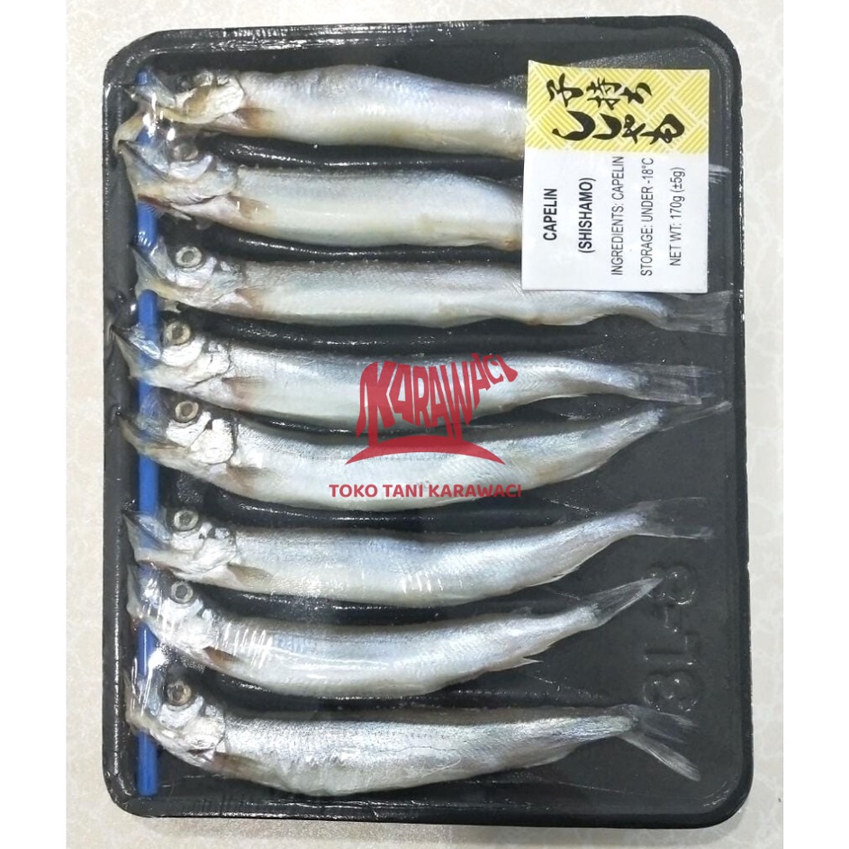 

88 Ikan Capelin Shisamo Fish PREMIUM