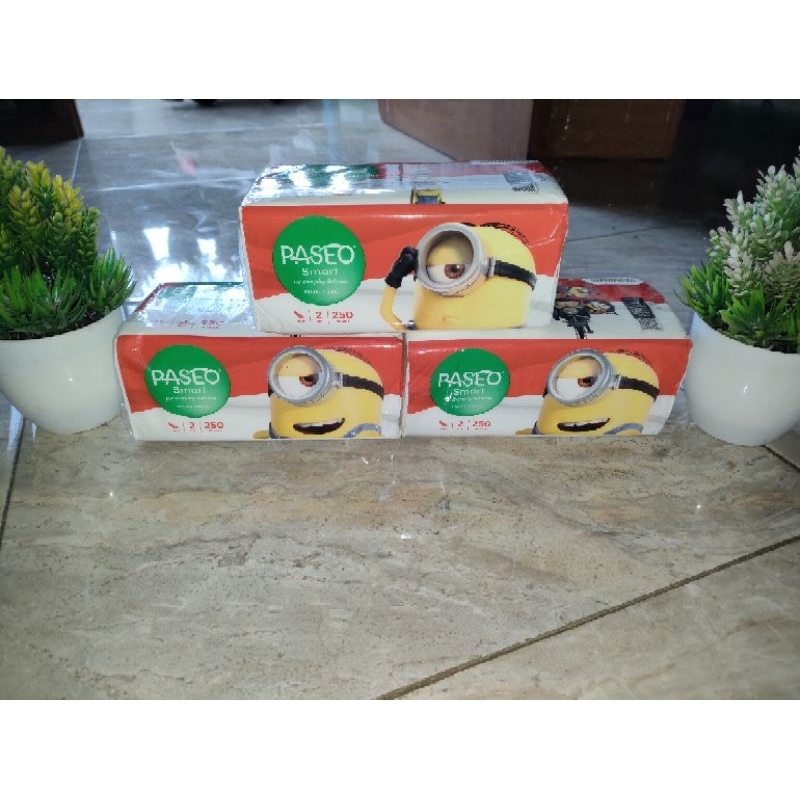 Tissue Paseo 250 sheet 2ply / Facial Tissue