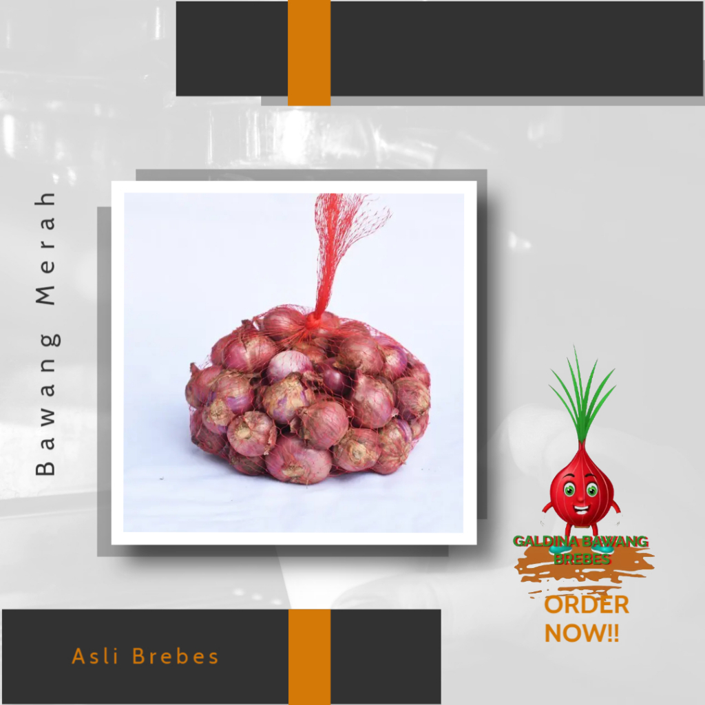 BAWANG MERAH BREBES ASLI PETANI BREBES BERAT 1KG