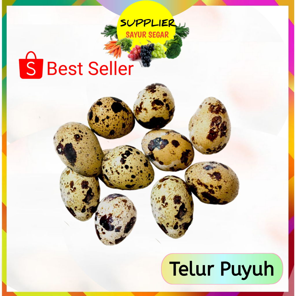 

Telur Puyuh isi 10 - Fresh Palembang