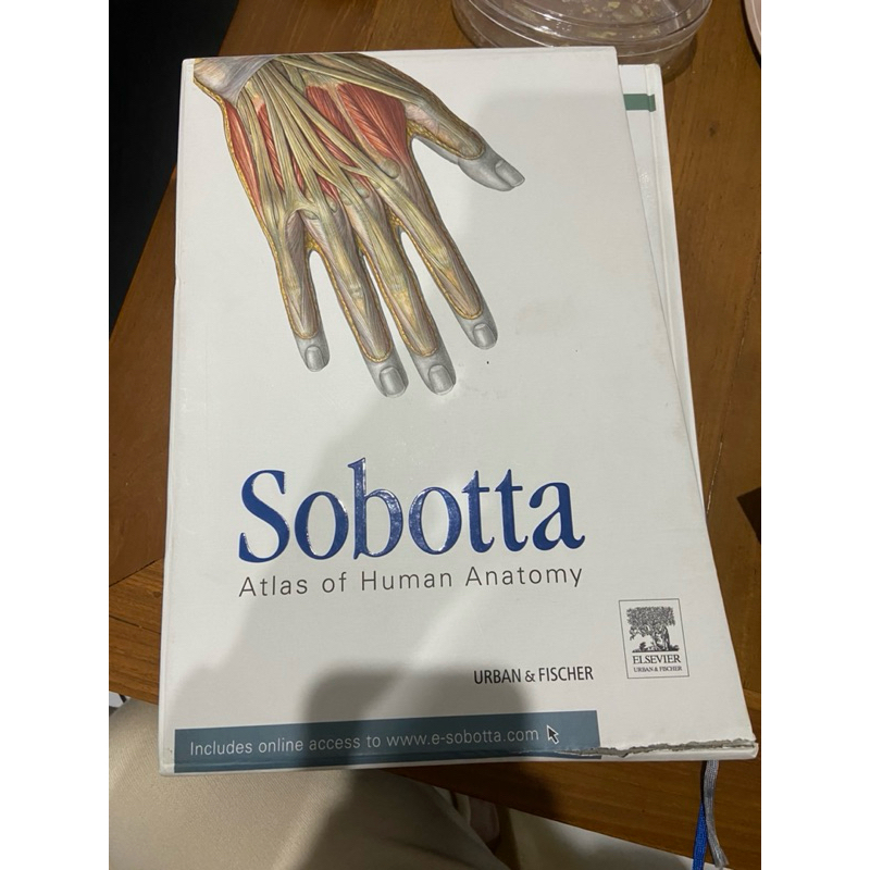 ORI PRELOVED Sobotta Atlas of Human Anatomy