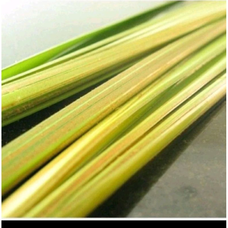 

daun kelapa muda/ikat