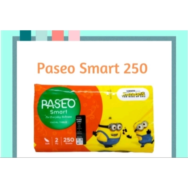 Passeo Tissue 250 Sheet