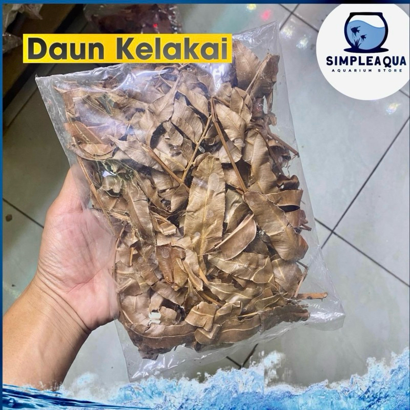 Daun Kelakai Kering Kalimantan Channa Ys Bunga Maru Red Barito Bebas gula