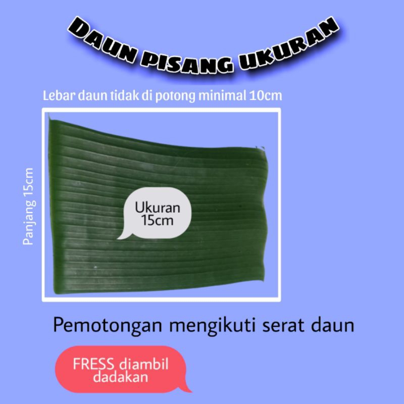 

daun pisang segar ukuran 15cm isi 25 lembar