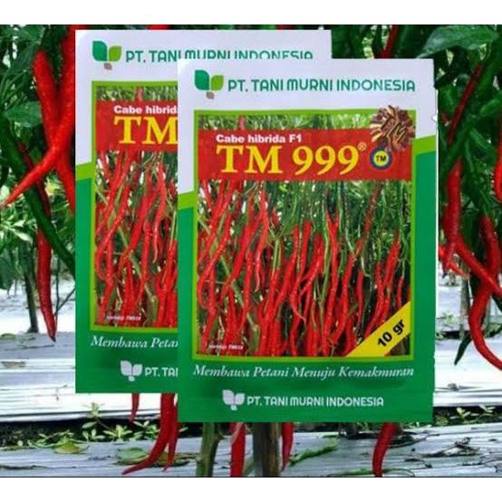 BENIH CABE TM999 TM 999 F1 isi 10gr