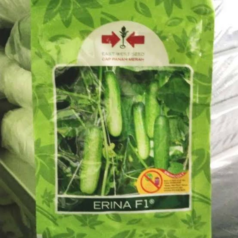 

Benih Timun Erina F1 (Tipe lalab Hijau Keputihan Cocok ditanam di lahan gambut, pasir, tanah liat, tanah rawa) isi 800 Butir Kadaluarsa 2025 Cap panah merah Produksi