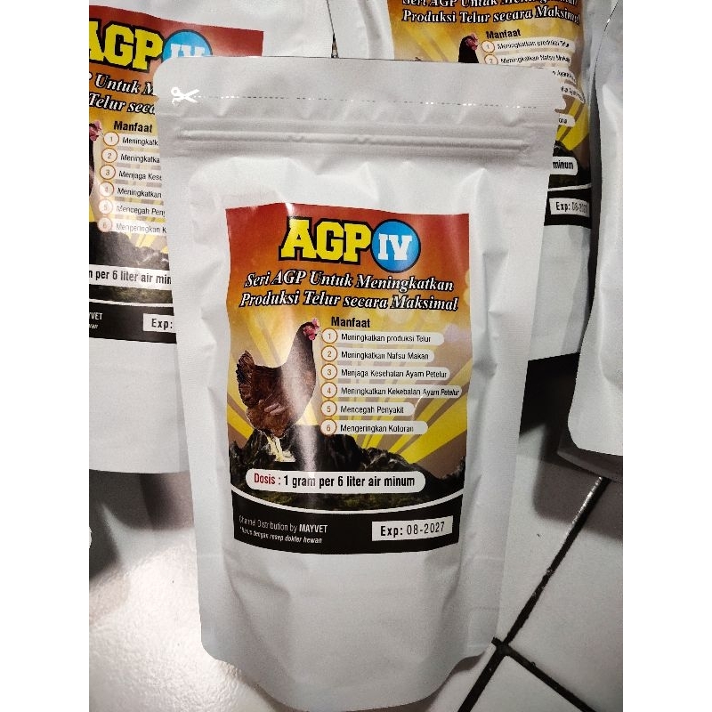 AGP IV ayam Petelur