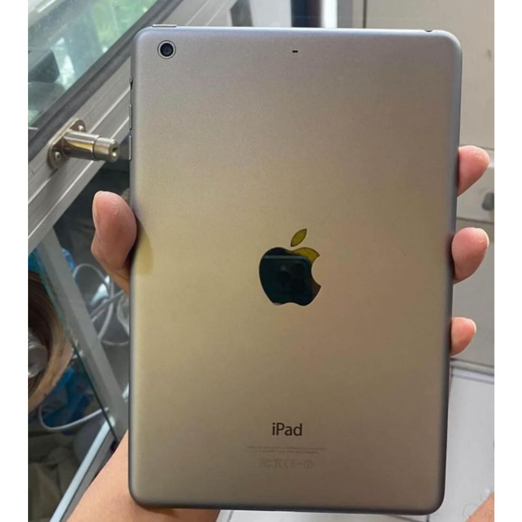 iPad mini 2