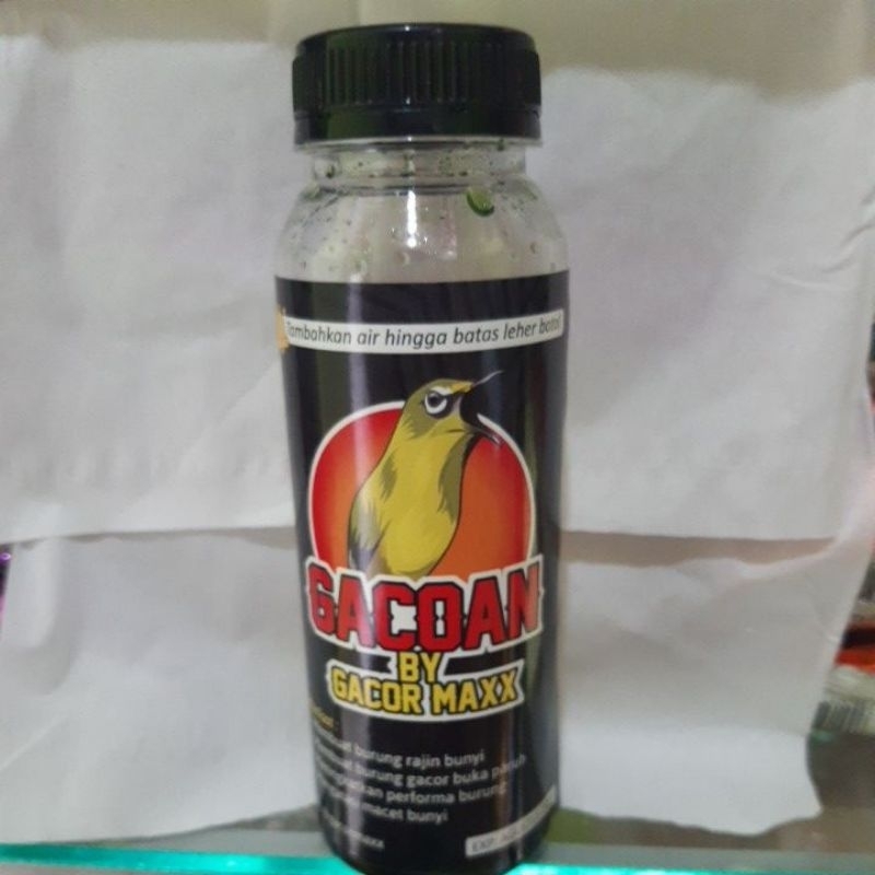 GACOAN by Gacor Maxx