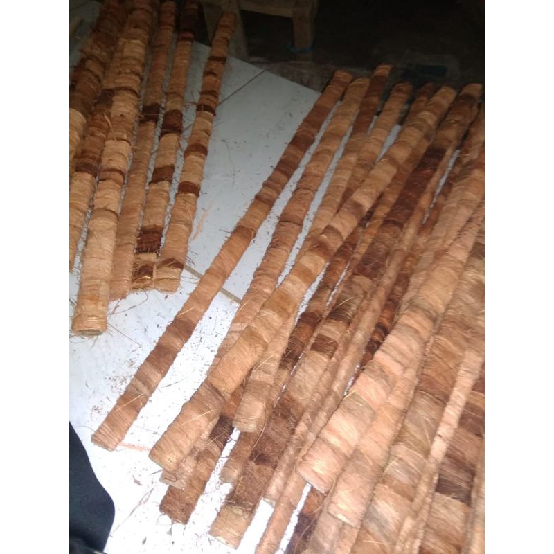 turus tanaman sabut kelapa