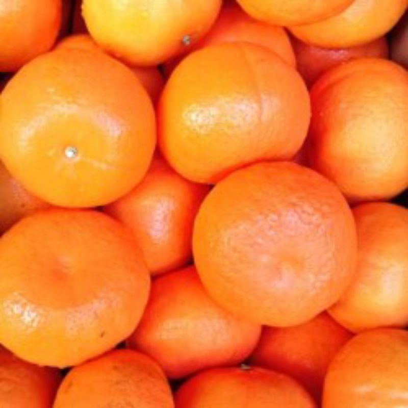 

jeruk honey marcot/jeruk kupas Mandarin