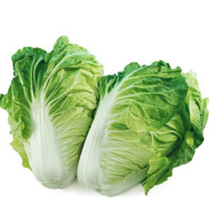 

Sawi Putih Besar Big Chinese Cabbage satuan dan 1.2kg keatas