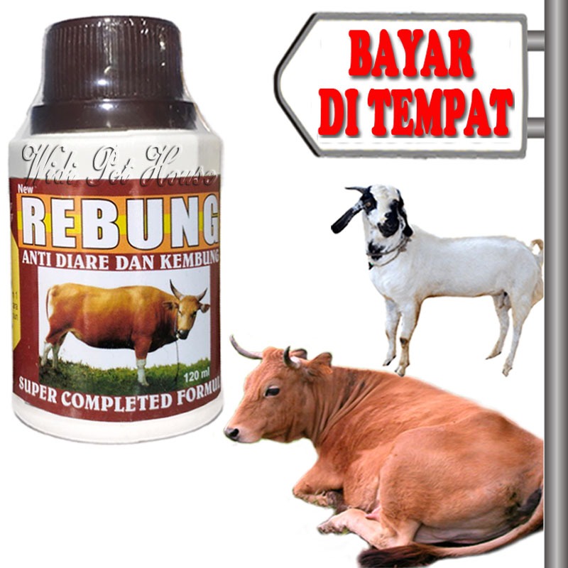 Obat Diare Mencret Kembung Sapi Kambing Rebung Hewan Ternak