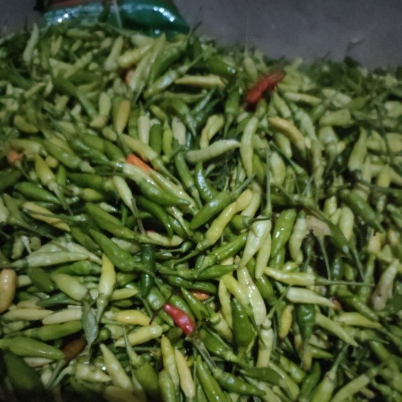 

LOMBOK CABE RAWIT CAMPUR 1KG 30RIBU